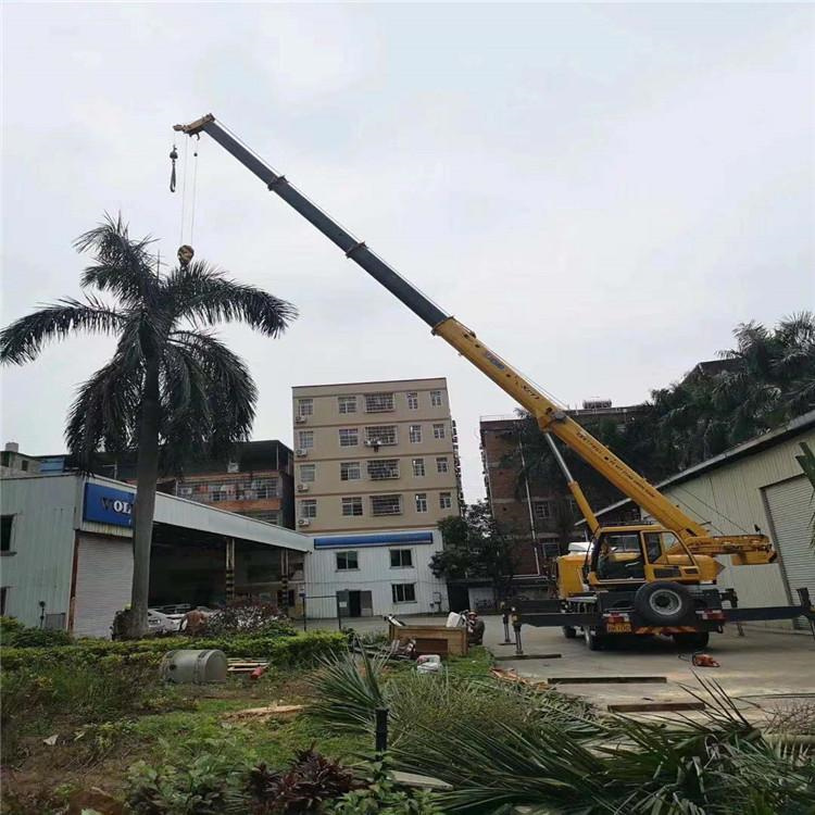 漳州汽车吊出租多少钱？全面解析与市场行情